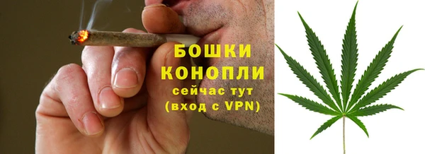 круглые Белокуриха