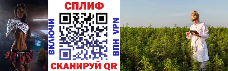 МАРИХУАНА конопля  как найти наркотики  OMG зеркало  Верхняя Тура 